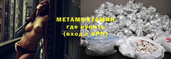 индика Арсеньев