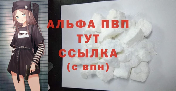 индика Арсеньев