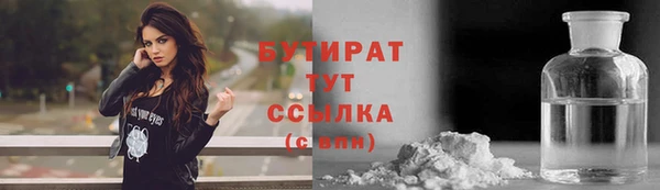 индика Арсеньев