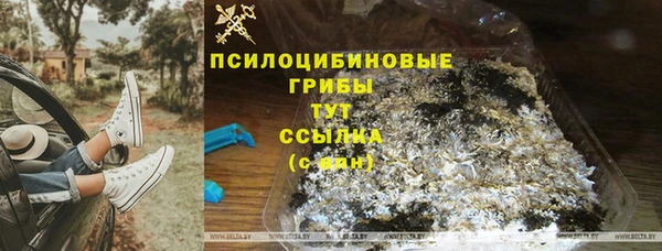 индика Арсеньев