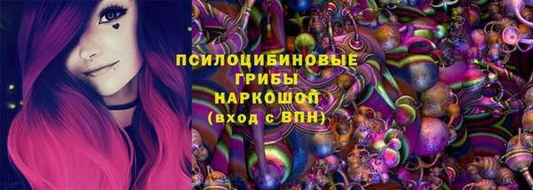 PSILOCYBIN Армянск