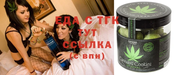 индика Арсеньев