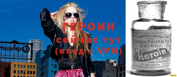 индика Арсеньев